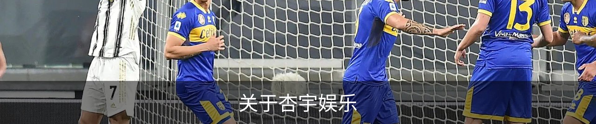 关于杏宇娱乐