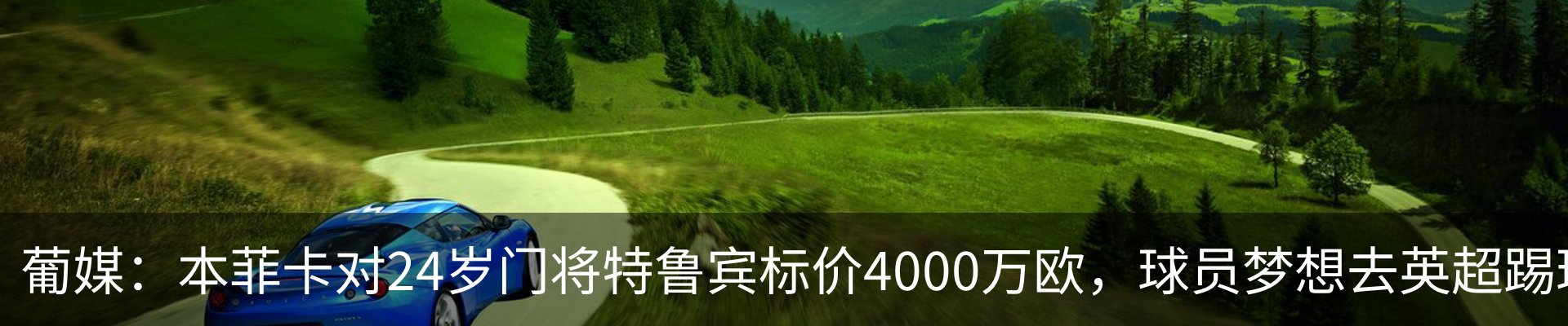 新闻动态