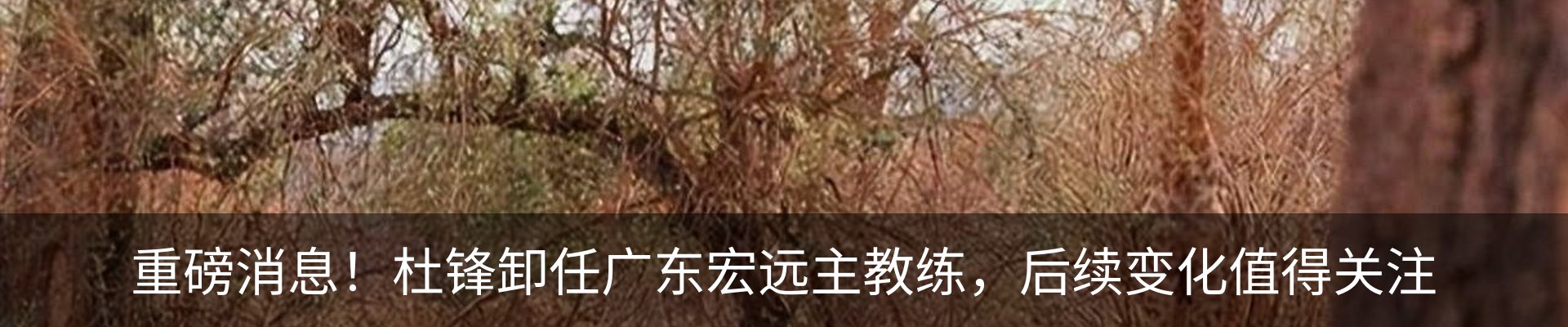 新闻动态