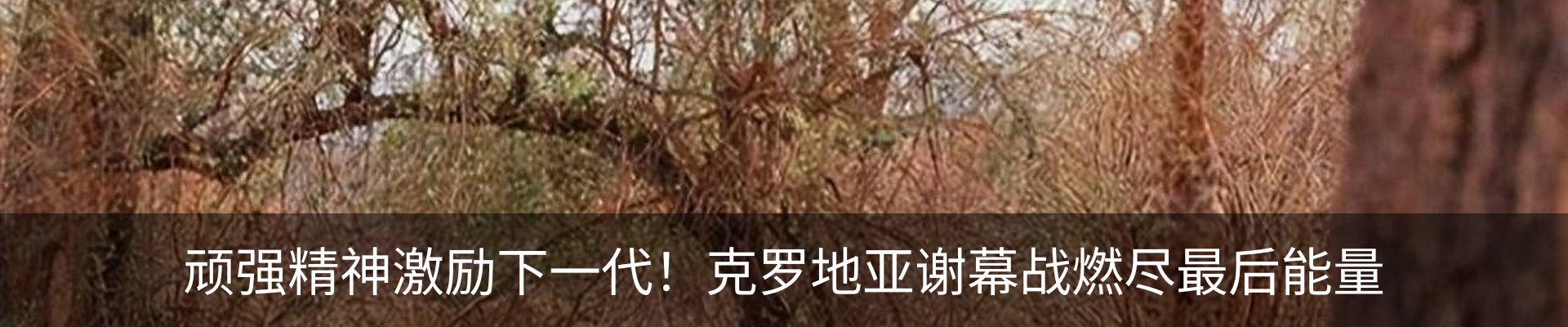 新闻动态