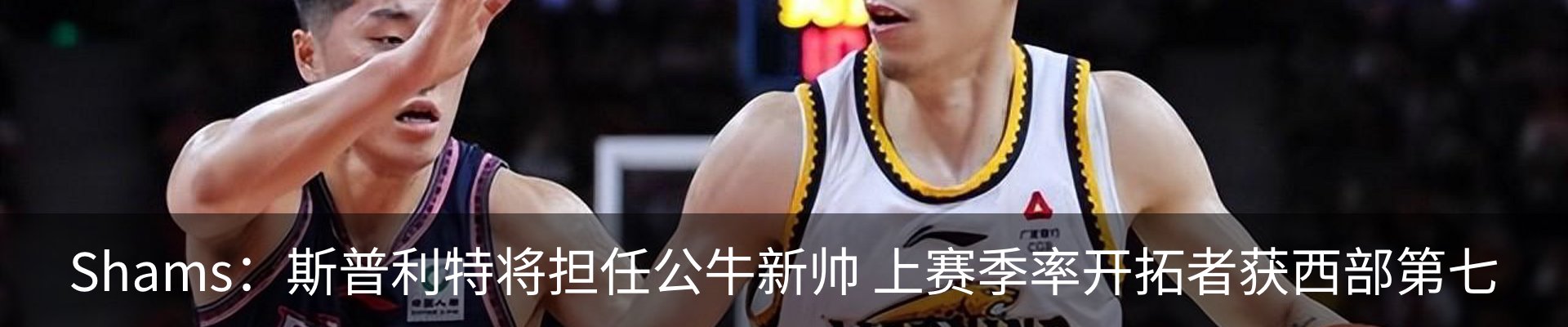 新闻动态